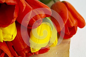Bouquet of tulips on a white background in paper.copyspace for text. Spring holiday