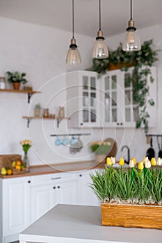 A bouquet of tulips on a white table. In the background, the interior of a white kitchen in the Scandinavian style. The