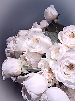 A bouquet of very beautiful white roses, close-up, a place for inscription