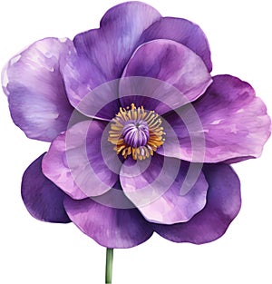 A bouquet of Violet flowers. AI-Generated. photo