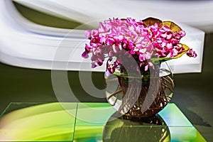 Bouquet of violet flowers or Viola Odorata in bowl