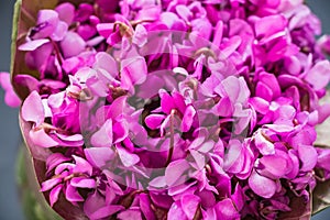 Bouquet of violet flowers or Viola Odorata in bowl