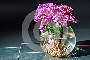 Bouquet of violet flowers or Viola Odorata in bowl