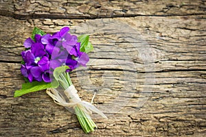 Bouquet of violets photo