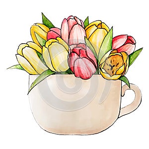 Ink, pencil, watercolor Tulips flowers sketch. Line art background. Hand drawn nature painting. Freehand sketching