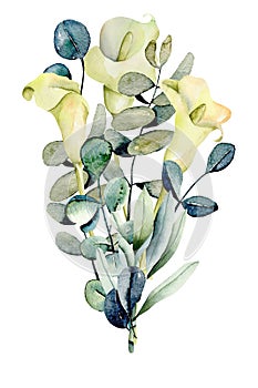 Bouquet of watercolor white callas flowers and eucalyptus branches