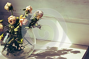 Bouquet of weathered roses in light and shadow. Small dry roses in vase. Withering concept. Parting concept.