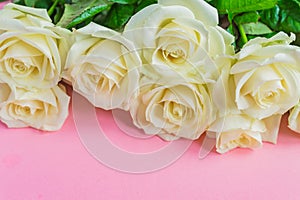 Bouquet of white blooming roses  on pastel pink background. Romantic floral frame. Copy space