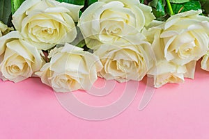 Bouquet of white blooming roses  on pastel pink background. Romantic floral frame. Copy space