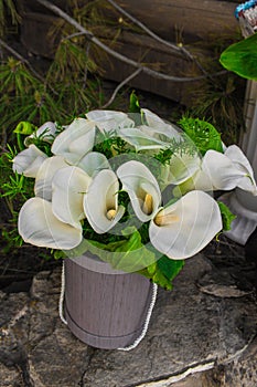 A bouquet of white callas...