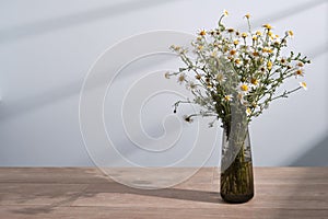 Bouquet of white chamomile daisy flowers in a glass vase, on light blue background