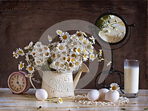 Bouquet of white chamomiles