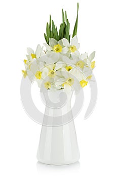 Bouquet of white daffodils