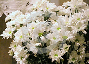A bouquet of white daisies