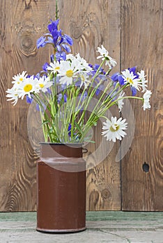 Bouquet of white daisies and blue wild iris flowers in old milk can on wooden background.