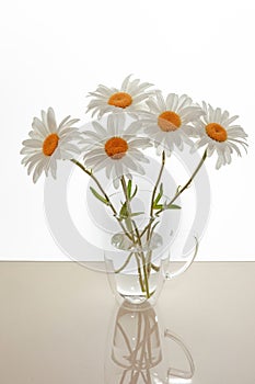 bouquet of white daisies in a glass vase, daisy flowers