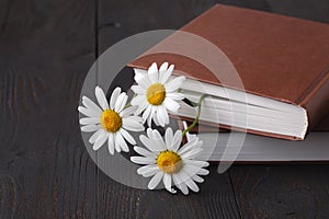 Bouquet of white daisies on old book