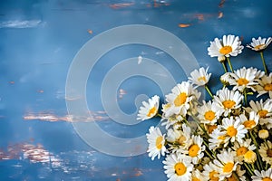 a bouquet of white daisies, wildflowers, on a blue wooden background generated by AI, generative assistant,