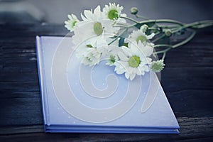 Bouquet of white daisy flowers on blue book background on classic rustic wooden table. Floral and notebook cover on vintage. photo