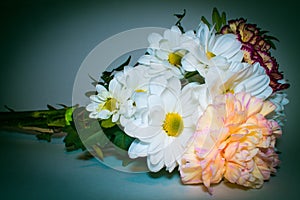 Bouquet with white Daisy flowers close up on green background