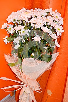 Bouquet of white daisy flowers on a orange background