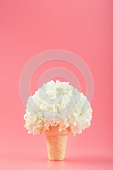 A bouquet of white flowers in an ice cream cone on a pink background