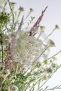 Bouquet of white flowers on a white background. Wild carrot and yarrow. Simple summer flower. Nature flora aesthetic