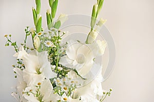 Bouquet of white gladioli. Whiteness delicate gladiolus flowers. Close up, white background