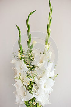 Bouquet of white gladioli. Whiteness delicate gladiolus flowers. Close up on white background