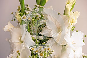 Bouquet of white gladioli. Whiteness delicate gladiolus flowers. Close up on white background