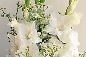 Bouquet of white gladioli. Whiteness delicate gladiolus flowers. Close up on white background