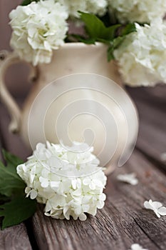 Bouquet of white hydrangea in ceramic jug on the wooden background