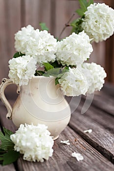 Bouquet of white hydrangea in ceramic jug on the wooden background