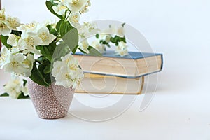 Bouquet of white Jasmine on the background of books