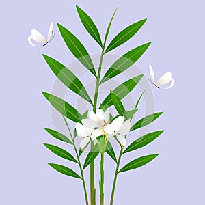 Bouquet with white lilies and butterflies on a purple background.
