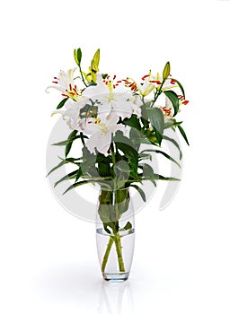 bouquet of white lilies in a glass vase with water isolated on a white background with shadow.
