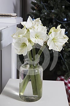 Bouquet of white lilies in a tall glass vase on beige table against a gray wall. Copy space. Fresh bud