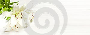 Bouquet of white lilies on a white wooden background top view. Flowers lily beautiful bouquet white flowers photo