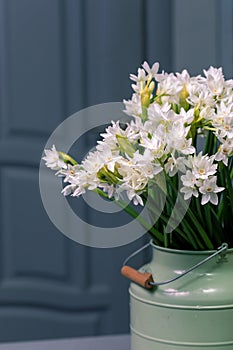 Bouquet white narcissus flowers and space for your text. close up