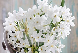 Bouquet of white narcissus