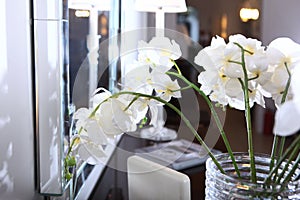 A bouquet of white orchids in the interior. An orchid branch in a glass vase. A vase with beautiful orchid flowers on