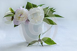 Bouquet of white peonies in vase on background of linen tablecloth.