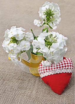 Bouquet of white phloxes