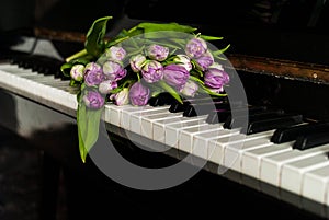 Bouquet of white phyllolette tulips on the lid of an open black piano