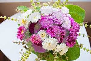 Bouquet of white and pink chrysanthemums