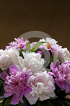 A bouquet of white and pink peonies.