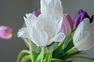 A bouquet of white, pink and purple tulips on a uniform light background.