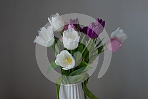 A bouquet of white, pink and purple tulips on a uniform light background in a simple white vase.