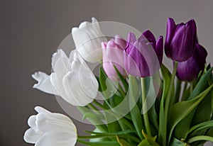 A bouquet of white, pink and purple tulips on a uniform light background.