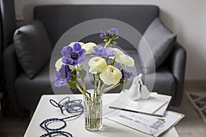 Bouquet of white ranunculus and blue anemone in the vase on a white coffee table near the grey sofa with plaid. The books and